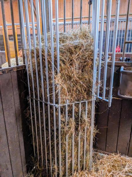 PATURA Wandraufe Variabel 2 m