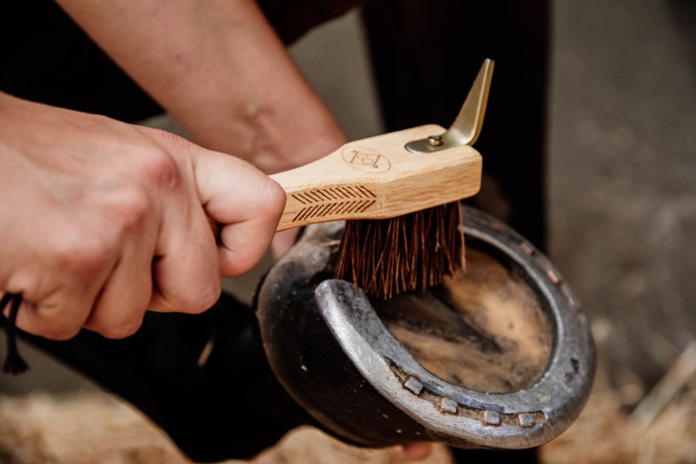 KENTUCKY® GROOMING DELUXE Hoof Pick