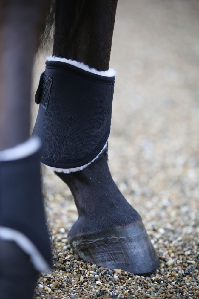 KENTUCKY® HORSEWEAR Streichkappe Solimbra, schwarz