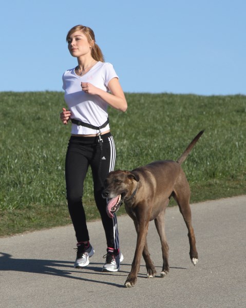 KERBL Joggingleine Active mit Hüftgurt