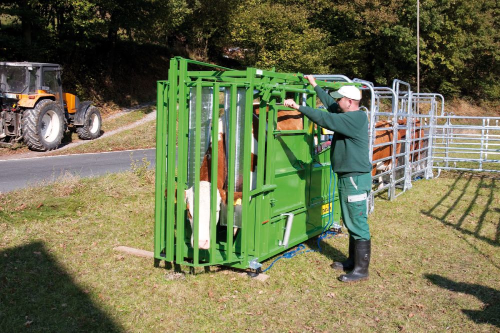 PATURA Behandlungsstand A 5000