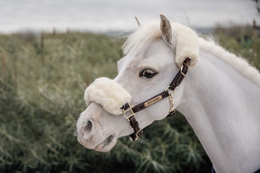 KENTUCKY® HORSEWEAR Pony-Lederhalfter mit Schaffell