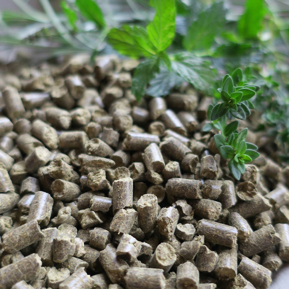 EOHIPPOS HERBAL ALLSTARS
