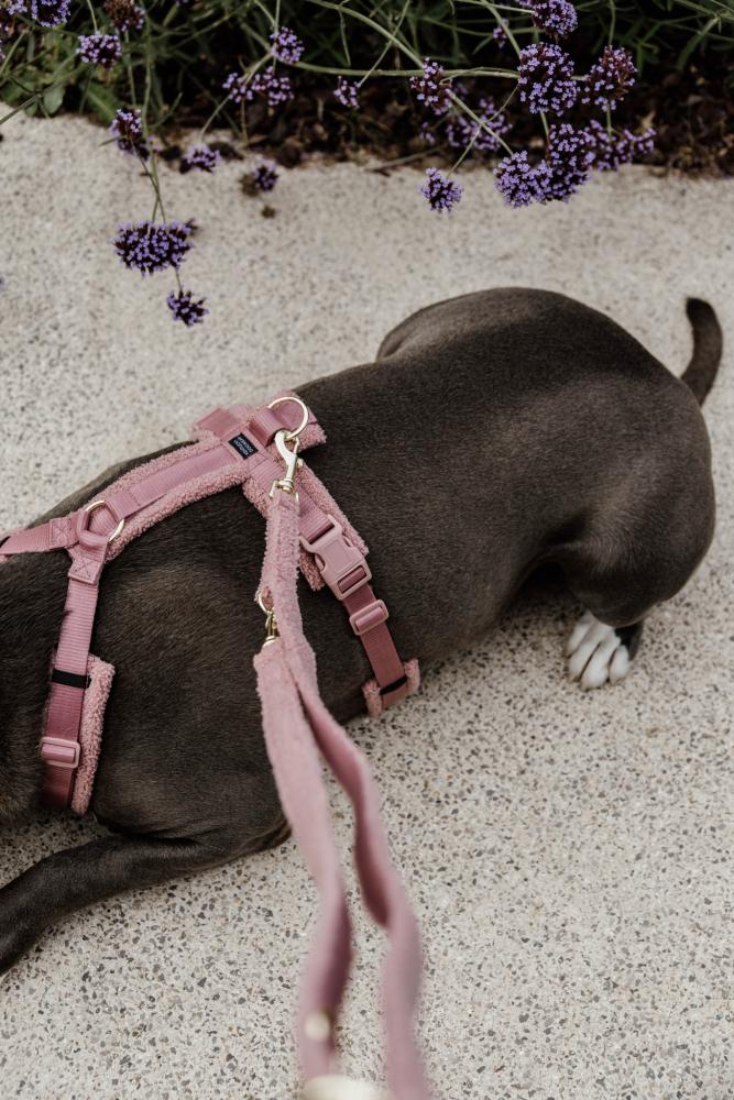 KENTUCKY® DOGWEAR Hundeleine aus Teddyfleece 200 cm, altrosa
