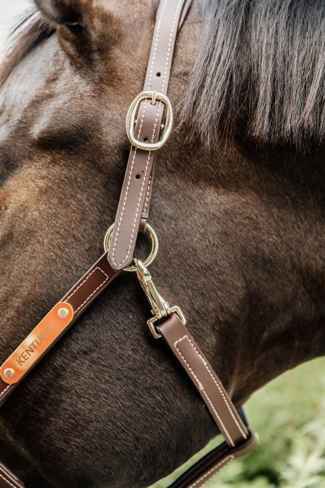 KENTUCKY® HORSEWEAR Lederhalfter flexibel