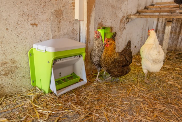 KERBL SmartCoop Futterdosierer mit Füllstandssensor