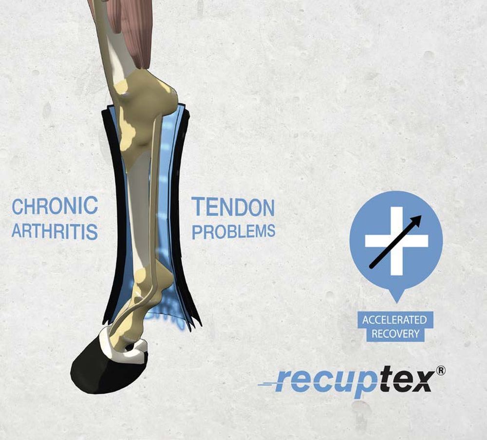 KENTUCKY® HORSEWEAR Magnetic Recuptex Bandagierunterlagen
