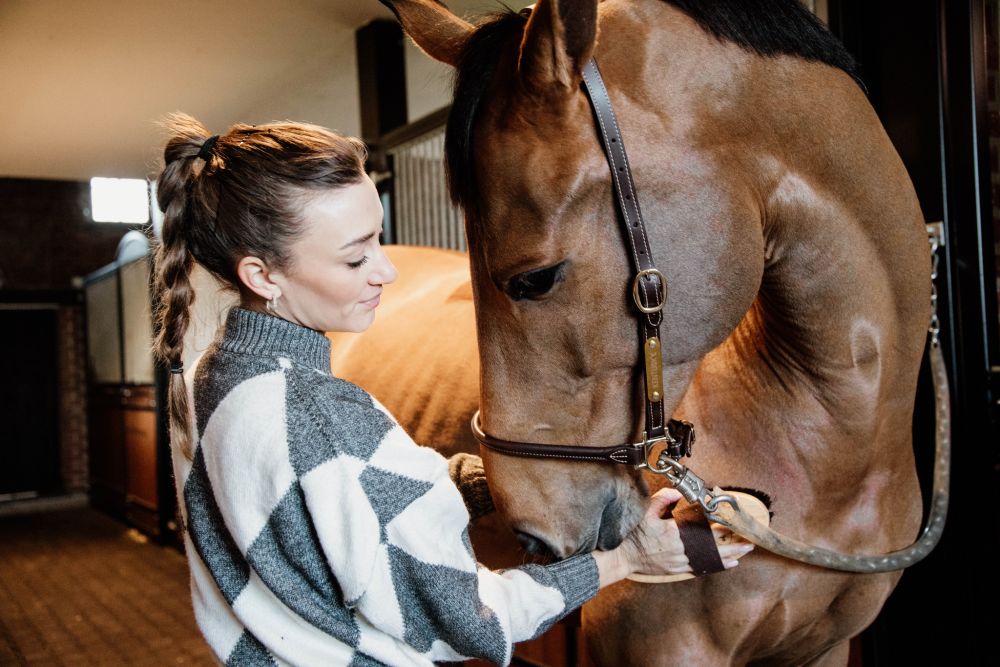 KENTUCKY® HORSEWEAR Leder Stallhalfter