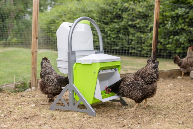 KERBL SmartCoop mobiler Standfuß