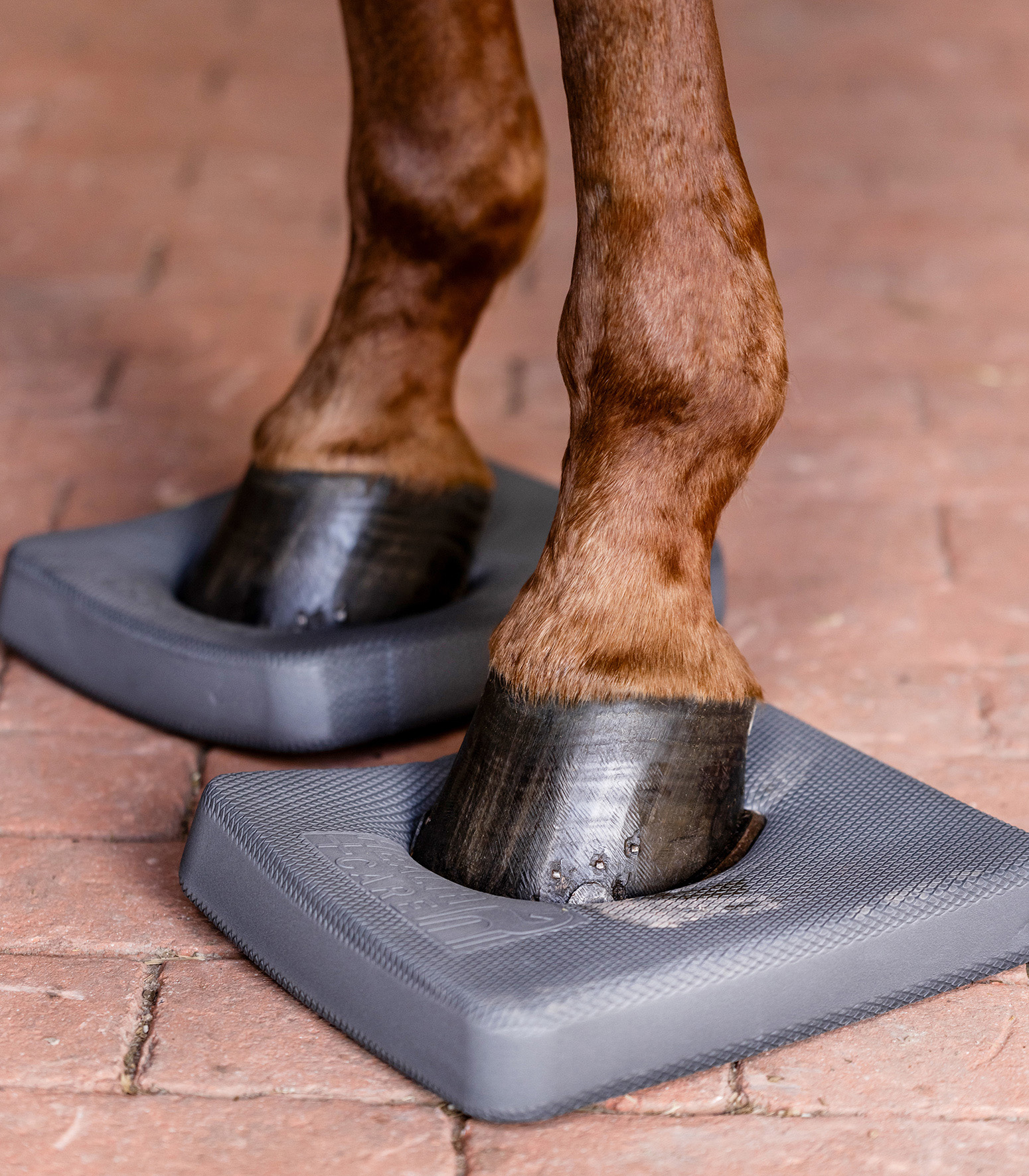 WALDHAUSEN Health + Care Balance Pads, grau