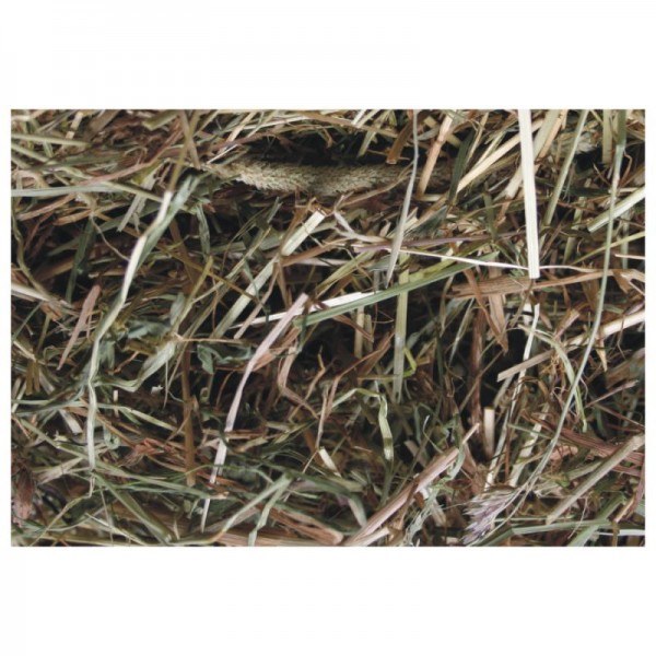 AGROBS Wiesenheu, 4 kg