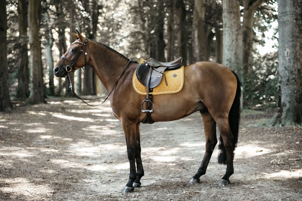 KENTUCKY® HORSEWEAR Schabracke Velvet Springen, senfgelb