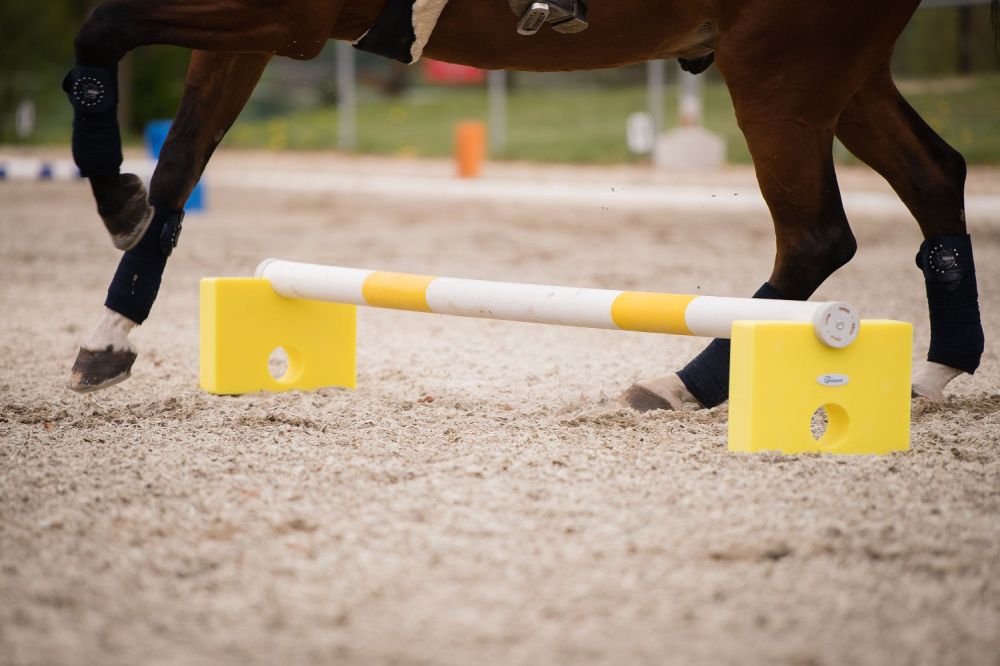 EQUIMORE Cavaletti SP Standard S 