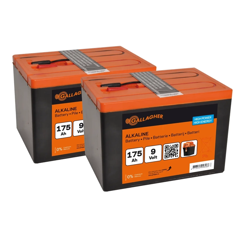 GALLAGHER Powerpack Batterie Doppelpack (9 V, 175 Ah)