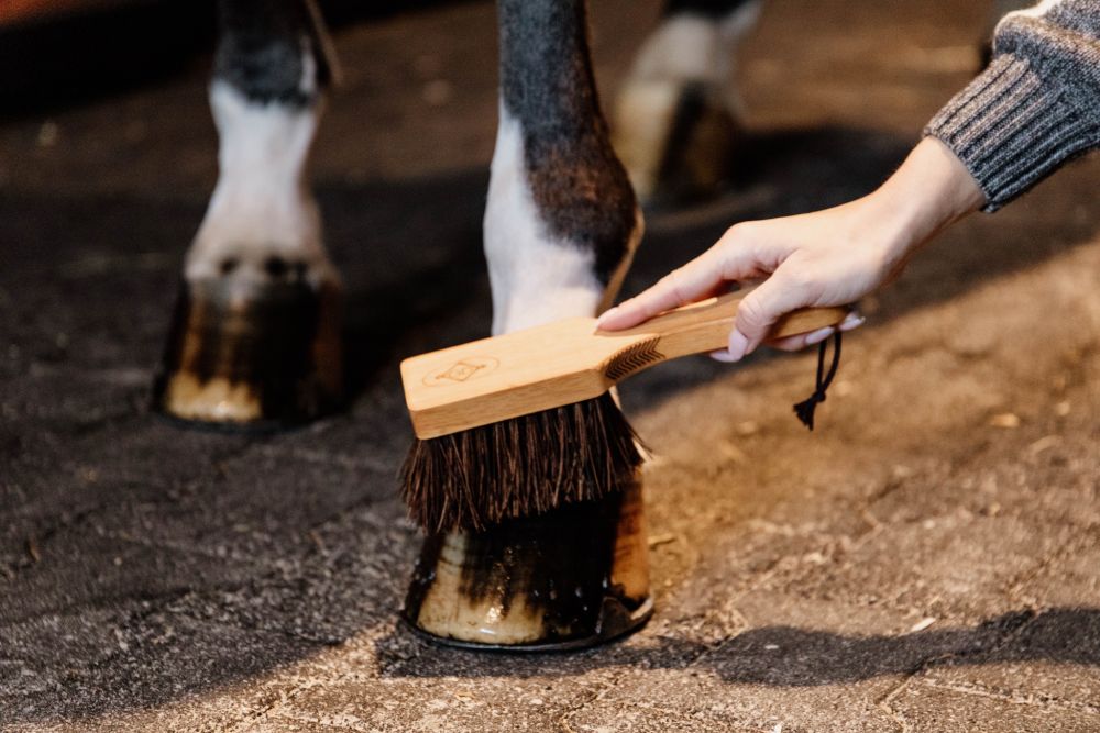 KENTUCKY® GROOMING DELUXE Hoof Brush