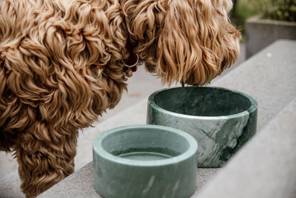 KENTUCKY® DOGWEAR Hundenapf aus Marmor, grün