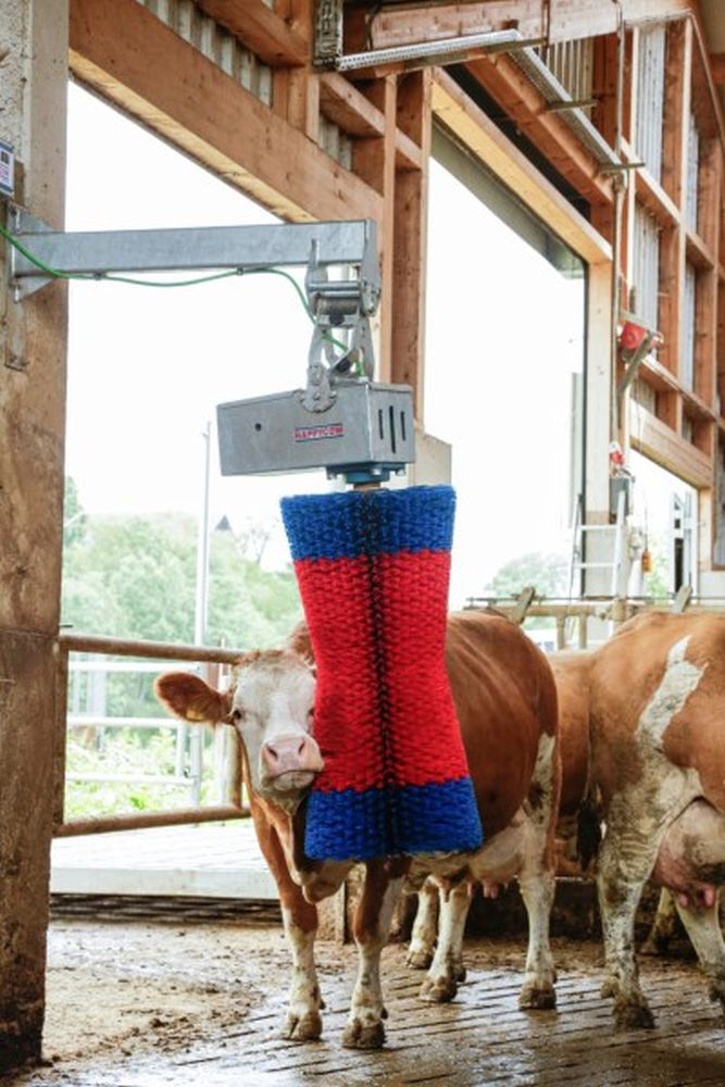 HAPPYCOW Kuhputzmaschine MaxiSwing
