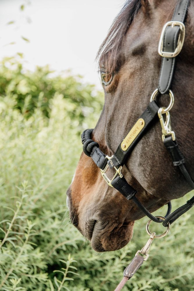KENTUCKY® HORSEWEAR Kontrollhalfter
