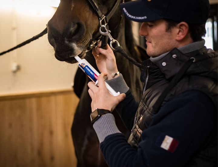 CAVALOR® An Energy Boost Paste