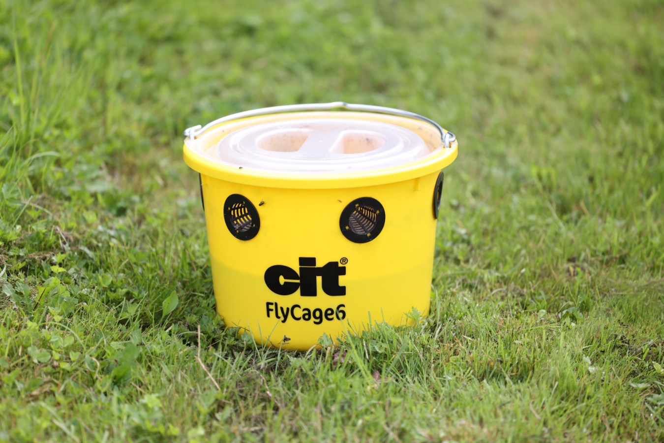 KERBL cit Fliegenfalle FlyCage6