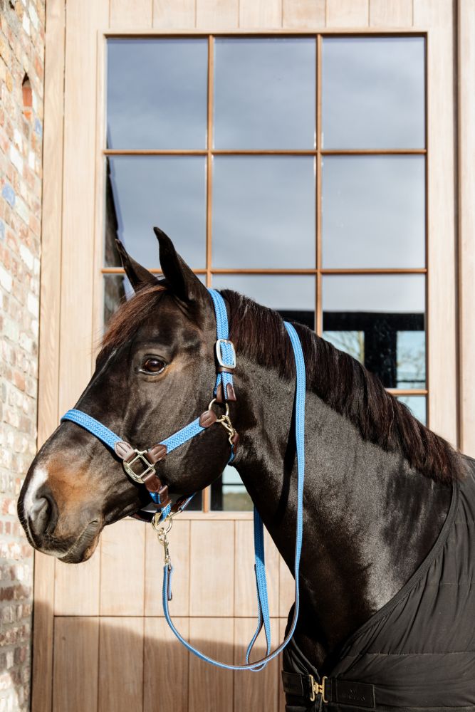 KENTUCKY® HORSEWEAR geflochtenes Nylon Halfter, light blue