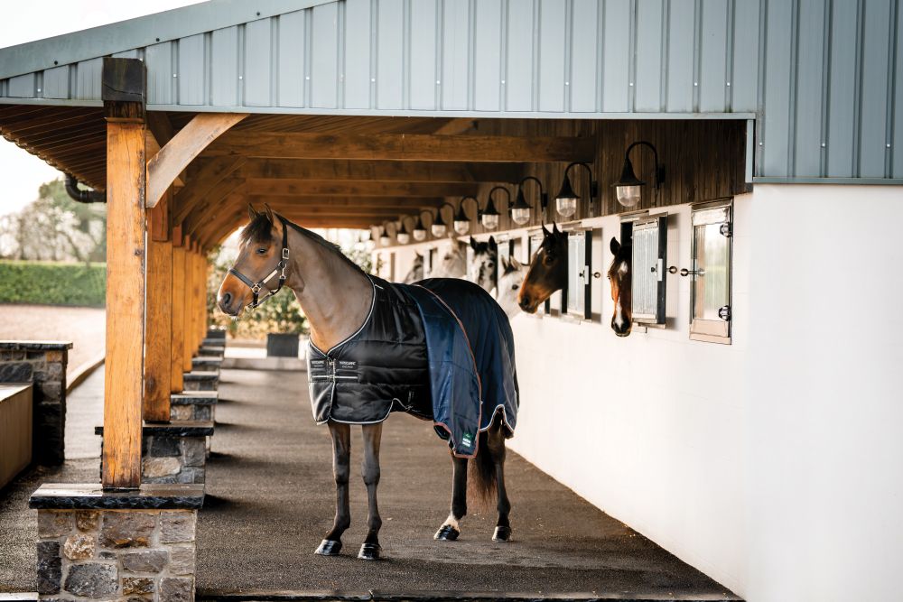HORSEWARE® Easy-Layer Stable, 100 g, black/black & silver