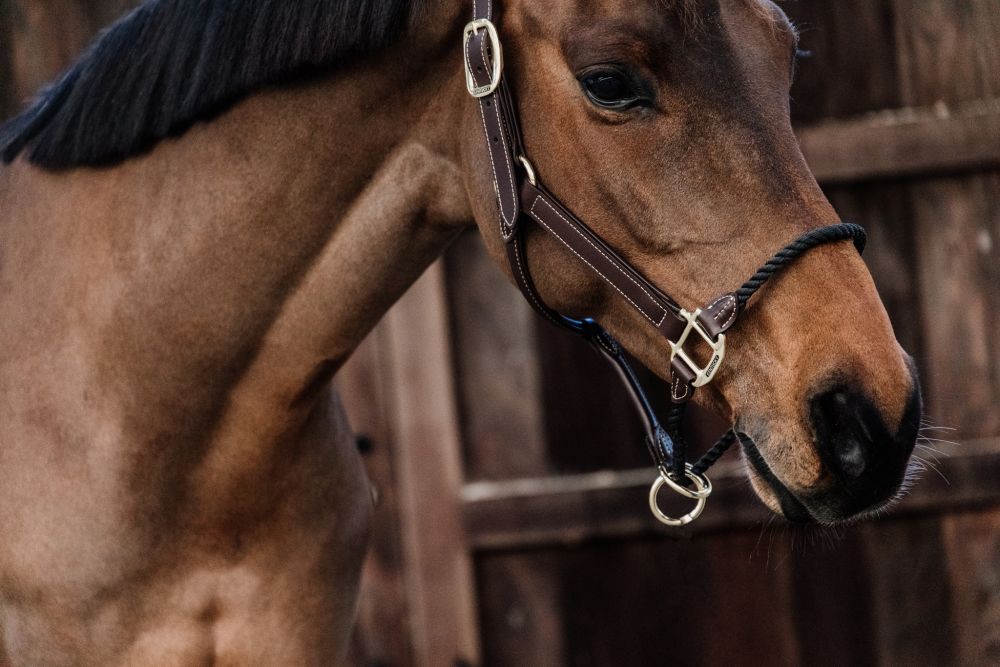 KENTUCKY® HORSEWEAR Lederhalfter Rope
