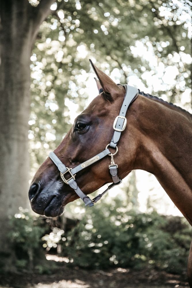 KENTUCKY® HORSEWEAR Anatomic Wildlederhalfter, grau