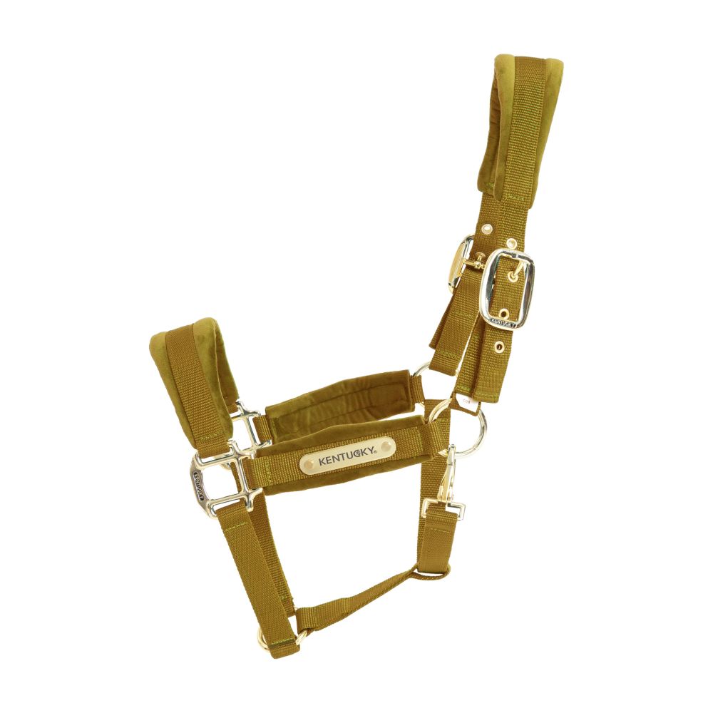 KENTUCKY® HORSEWEAR Velvet Halfter, senfgelb