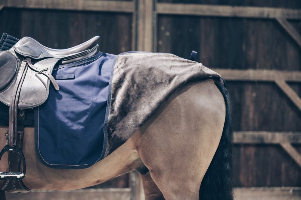 KENTUCKY® HORSEWEAR Quarter Rug All Weather