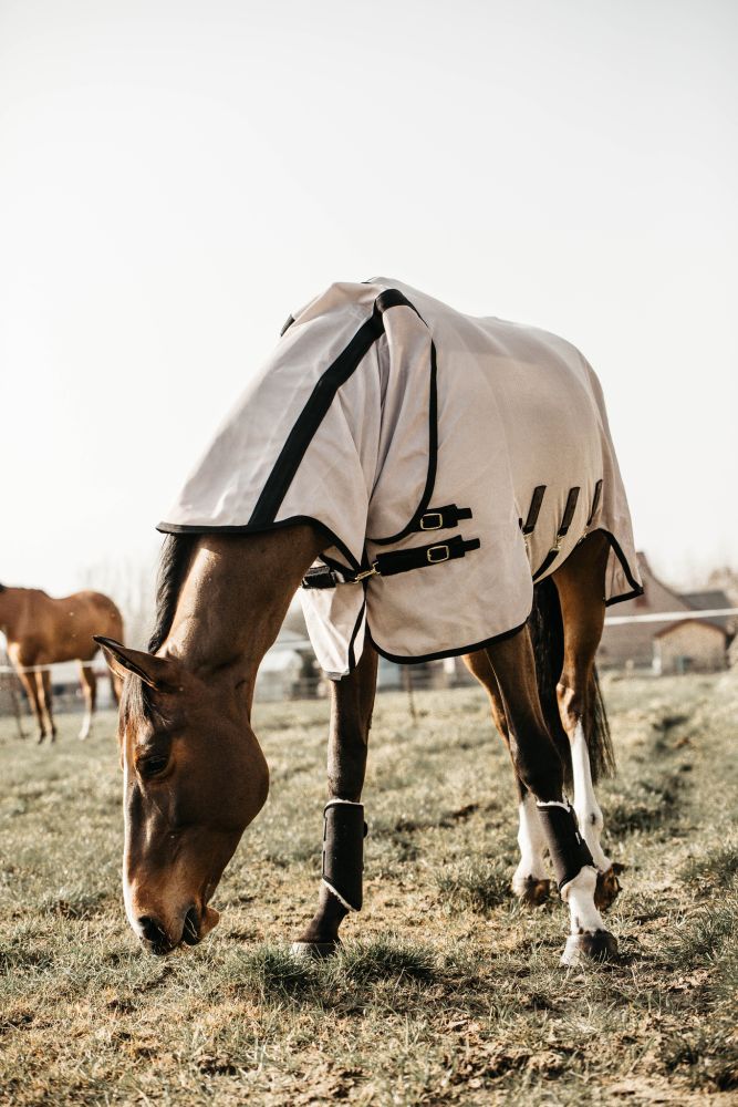 KENTUCKY® HORSEWEAR Mesh Fliegendecke mit Halsteil
