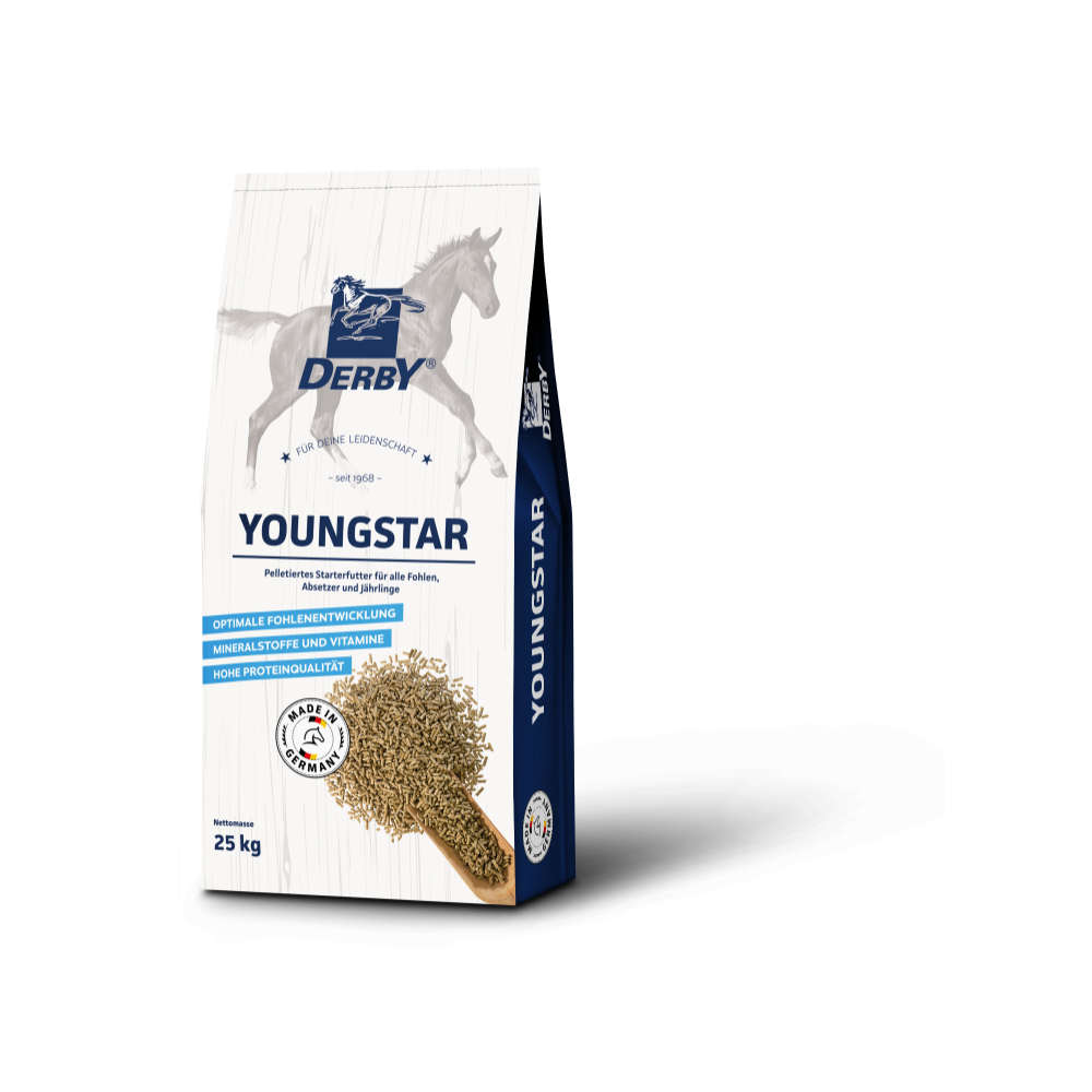 DERBY® YOUGSTAR