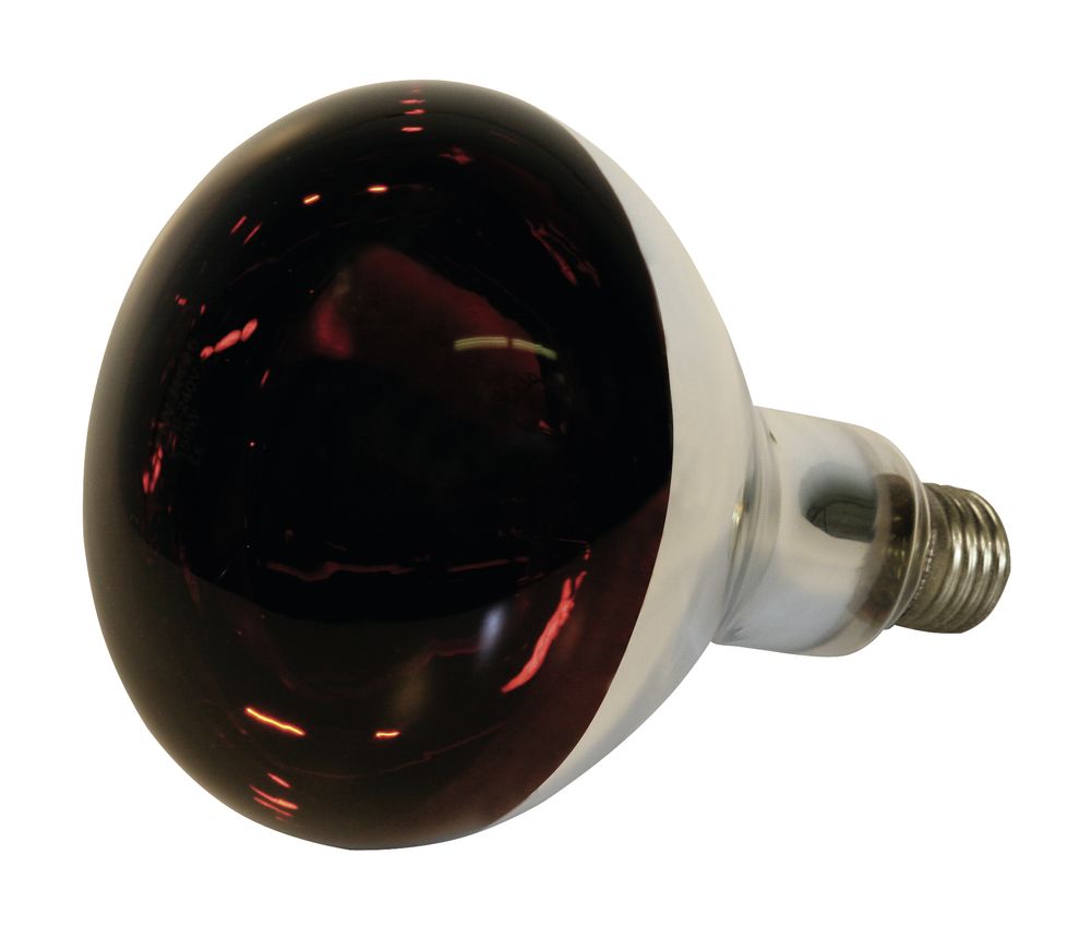 KERBL Hartglas-Infrarotlampe 