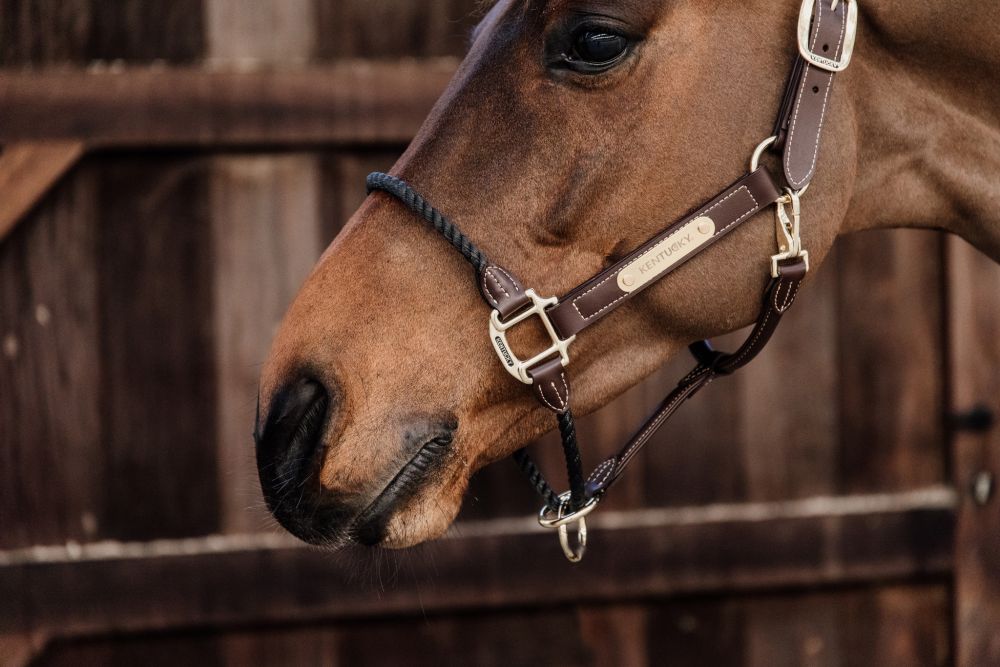 KENTUCKY® HORSEWEAR Lederhalfter Rope