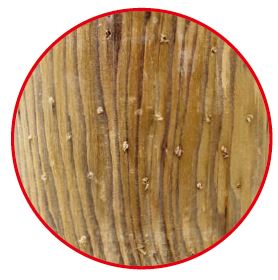PATURA Weidezaunpfosten aus Holz mit Durchmesser 10 cm