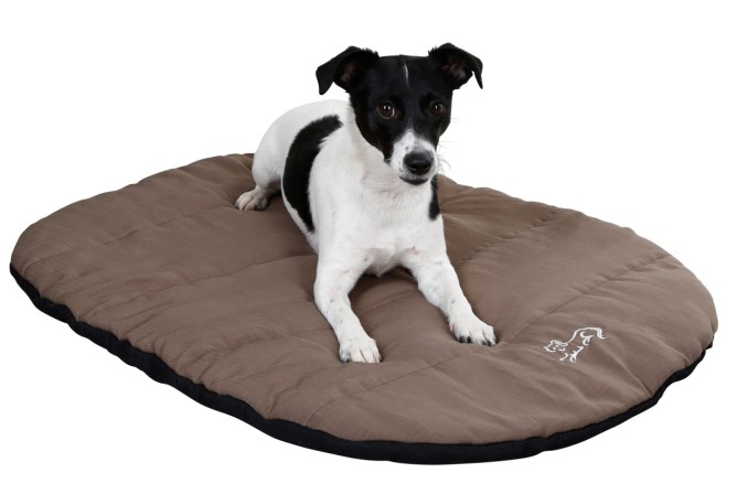 KERBL Traveller Reisekissen 85x65cm mit Hülle, taupe