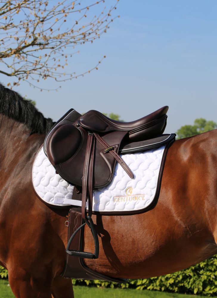 KENTUCKY® HORSEWEAR Sattelpad Anatomic Absorb, schwarz/schwarz