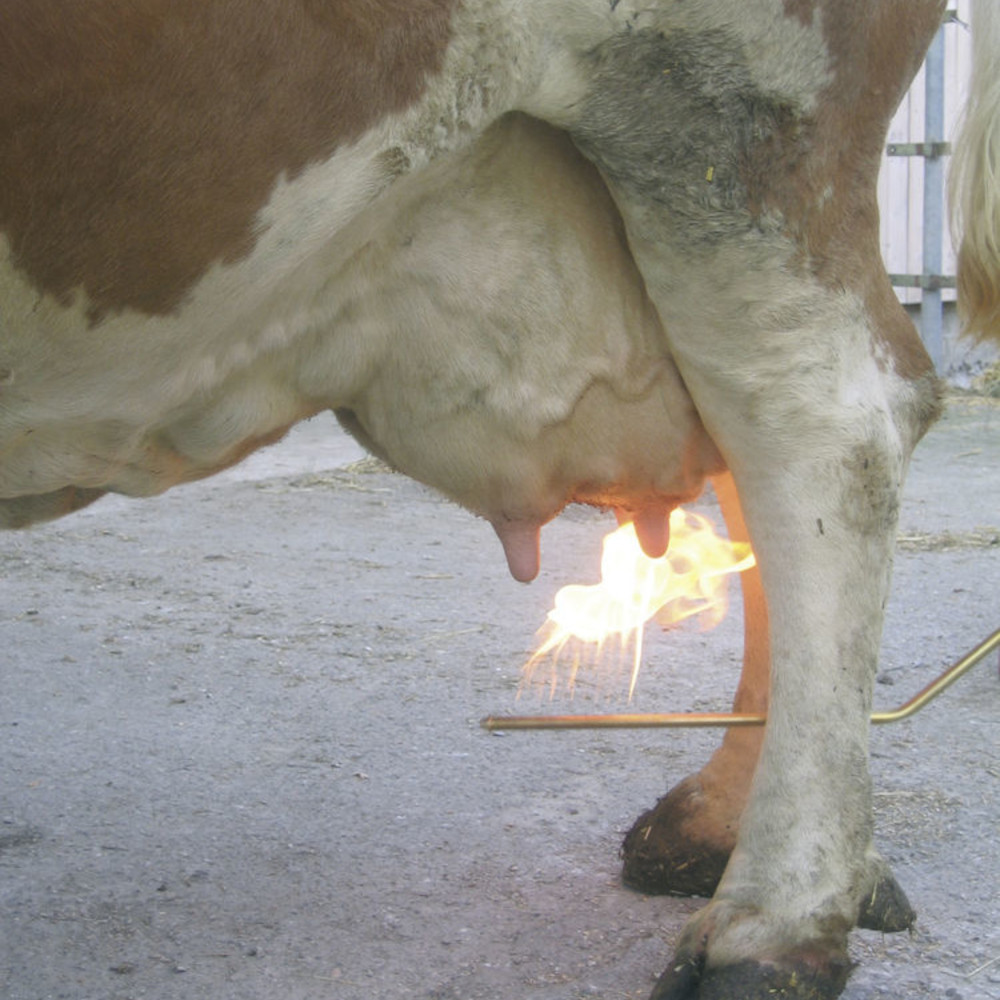 KERBL Euterhaarentferner PREVENTA - mit Gasflaschenanschluss und Druckminderer
