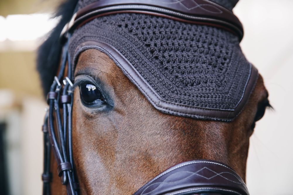 KENTUCKY® HORSEWEAR Fliegenhaube Wellington Leder, braun