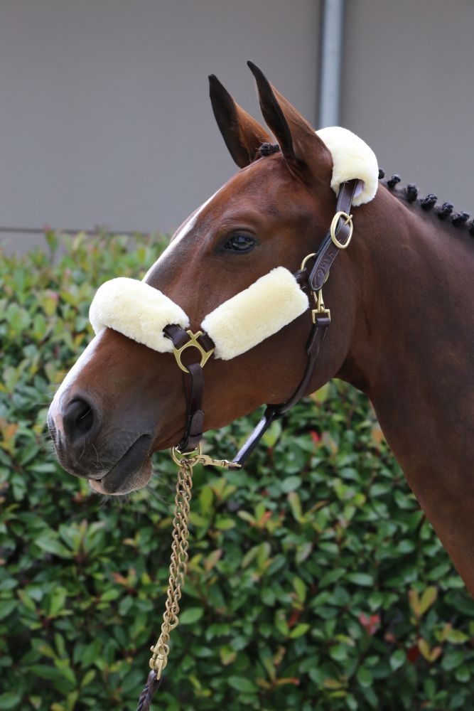 KENTUCKY® HORSEWEAR Schaffell-Halfter-Set, natur