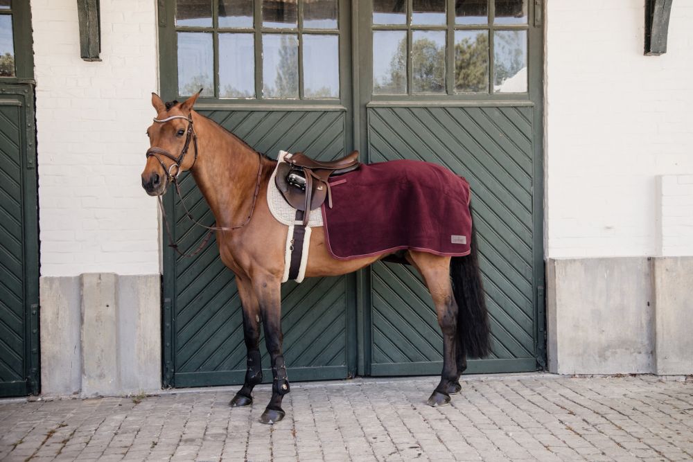 KENTUCKY® HORSEWEAR Ausreitdecke Quadrat Heavy Fleece, bordeaux