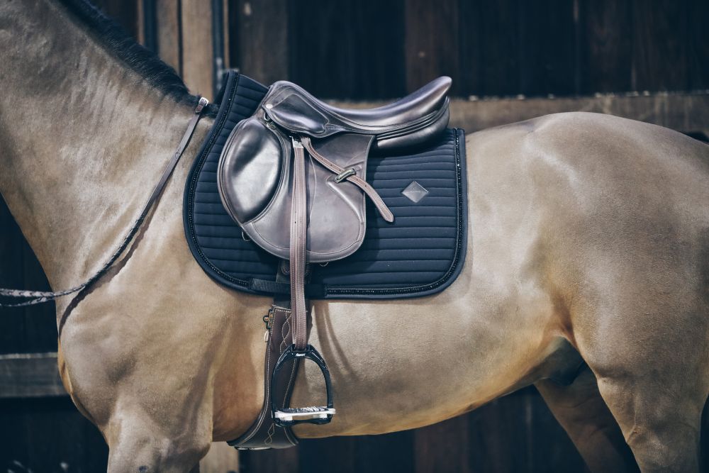 KENTUCKY® HORSEWEAR Schabracke Pearls Springen, schwarz