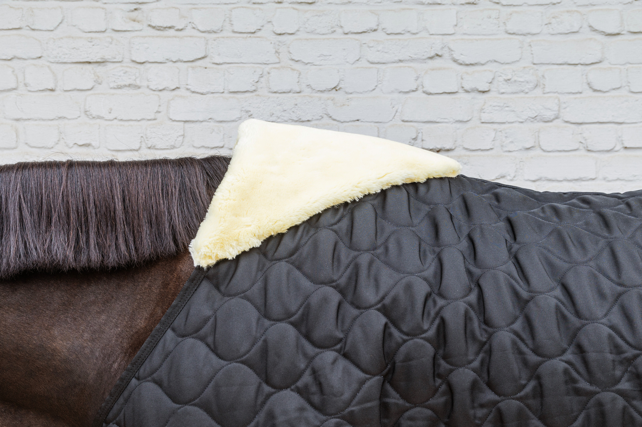 KENTUCKY® HORSEWEAR Stalldecke Comfort 300 g, schwarz Schwarze Stalldecke Comfort mit Wellensteppung und weichem, hellem Fleece-Polster am Widerrist eines Pferdes.