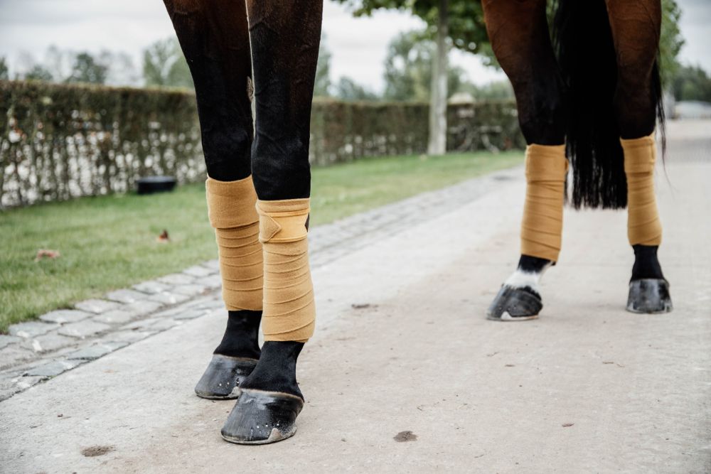 KENTUCKY® HORSEWEAR Fleecebandagen Velvet, 4er-Set, senfgelb