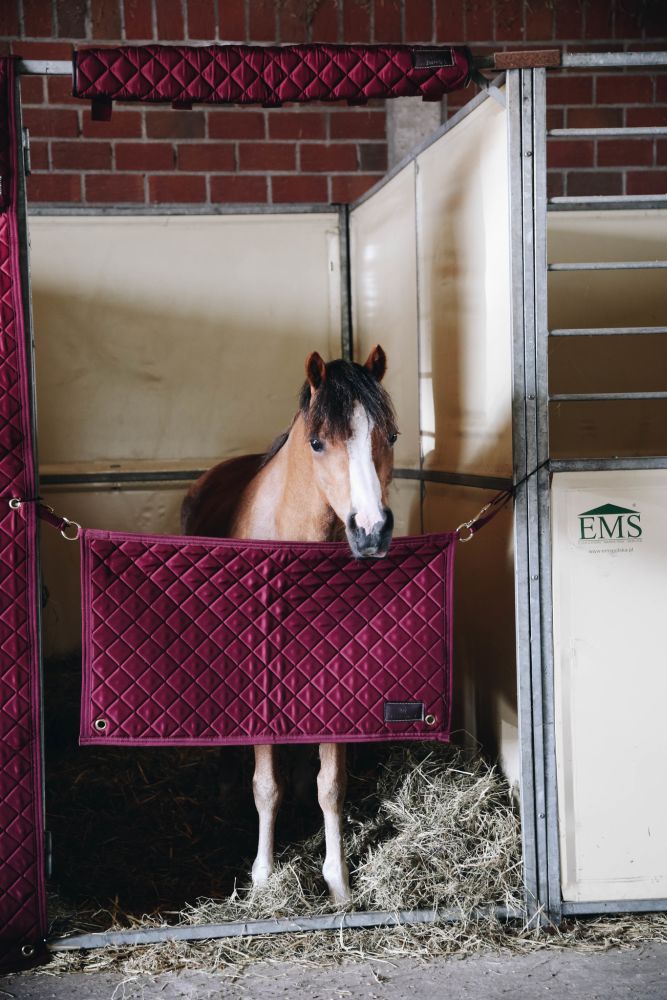 KENTUCKY® HORSEWEAR Stable Guard, bordeaux