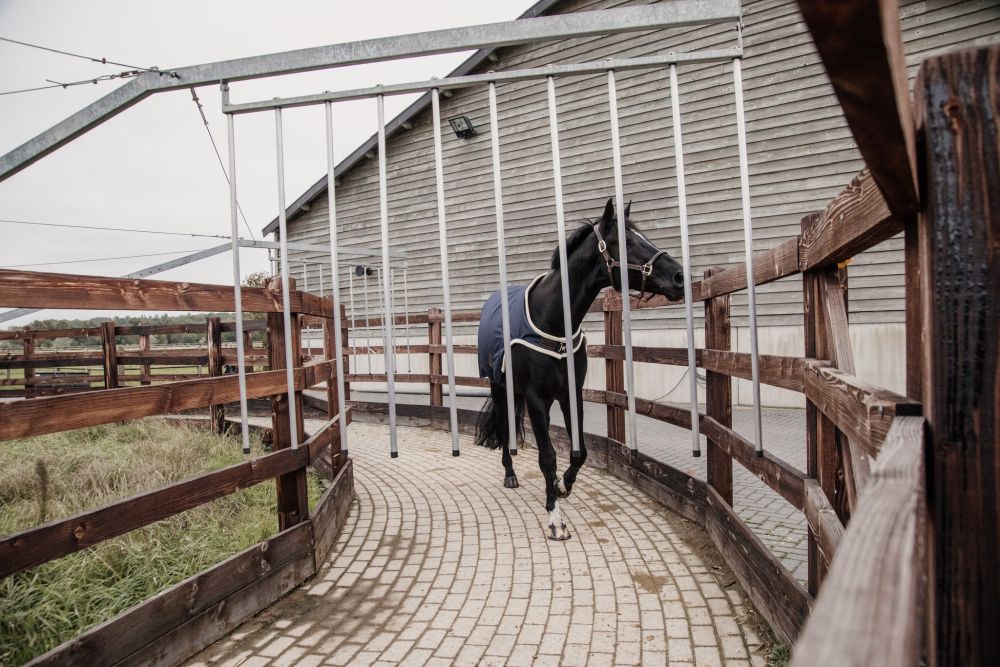 KENTUCKY® HORSEWEAR Walker Rug Waterproof 