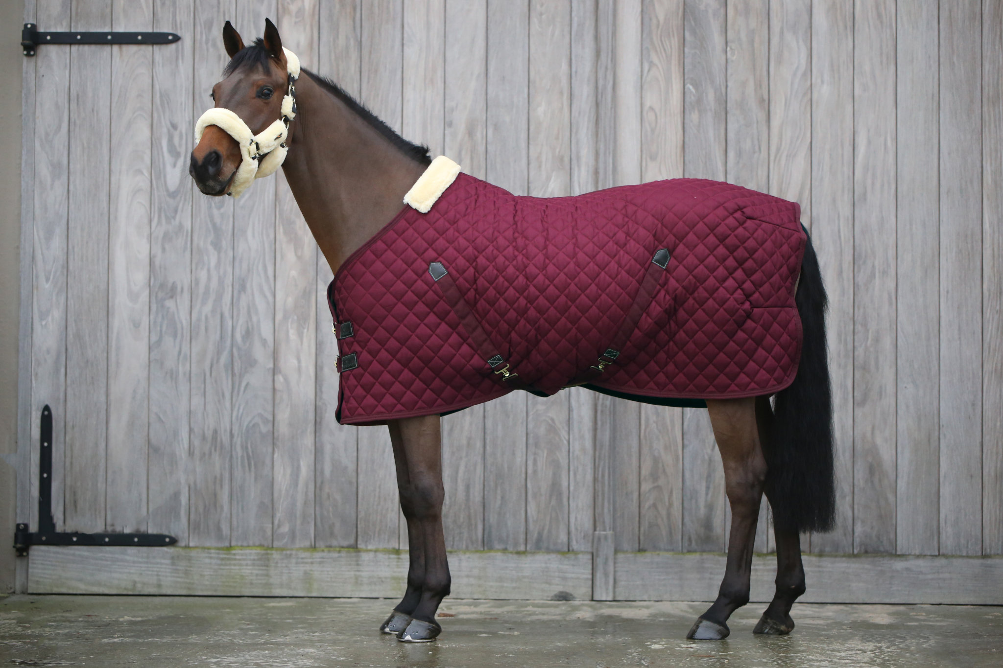 KENTUCKY® HORSEWEAR Stalldecke 400 g, bordeaux