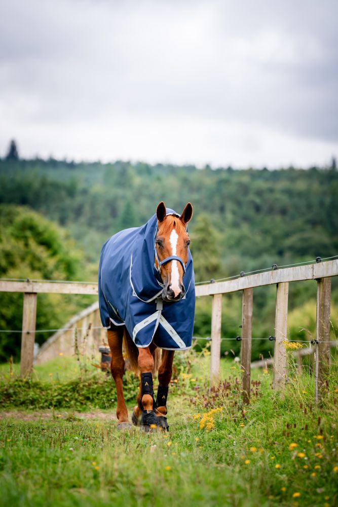 HORSEWARE® Rambo® Duo Force 2.0, 100 g (+ 100 g & 300 g Liner), navy/thunderstorm