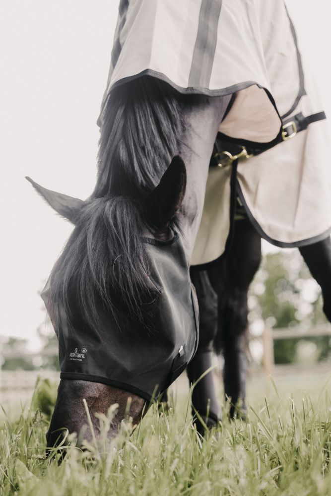KENTUCKY® HORSEWEAR Fliegenmaske Classic ohne Ohren, schwarz