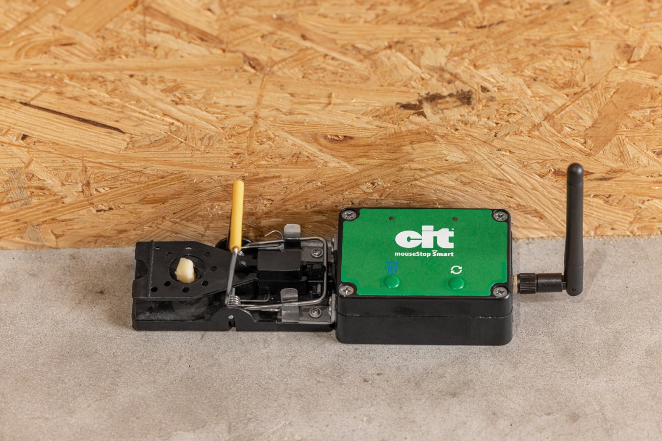 KERBL cit mouseStop Smart